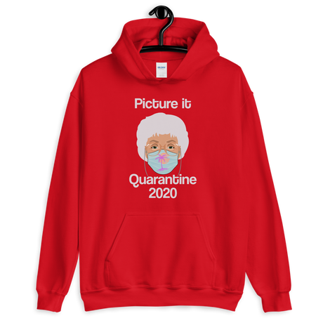 Picture It Quarantine 2020 (Hoodie)-Hoodie-Swish Embassy