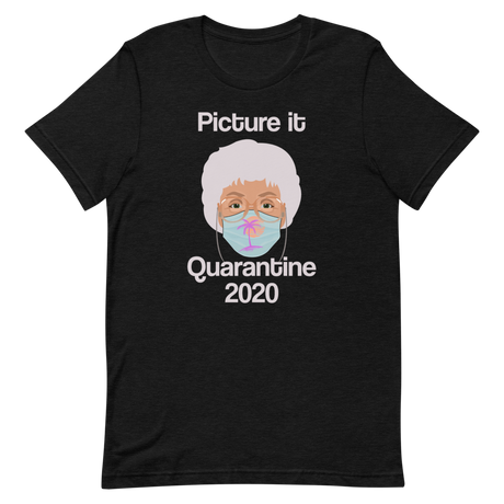 Picture it Quarantine 2020-T-Shirts-Swish Embassy