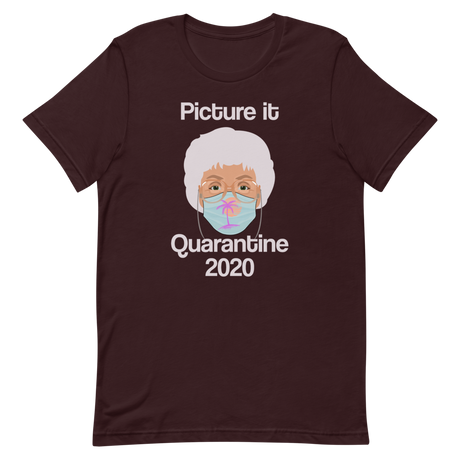 Picture it Quarantine 2020-T-Shirts-Swish Embassy