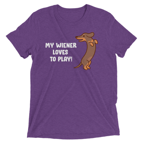 Playful Wiener (Retail Triblend)-Triblend T-Shirt-Swish Embassy