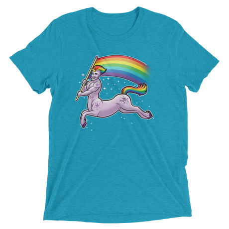 Pride Centaur (Retail Triblend)-Triblend T-Shirt-Swish Embassy