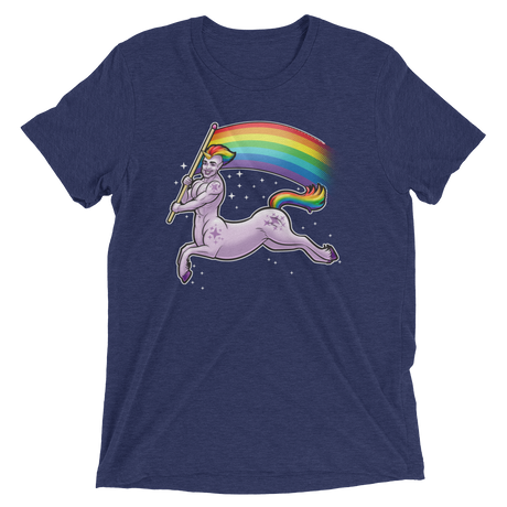 Pride Centaur (Retail Triblend)-Triblend T-Shirt-Swish Embassy