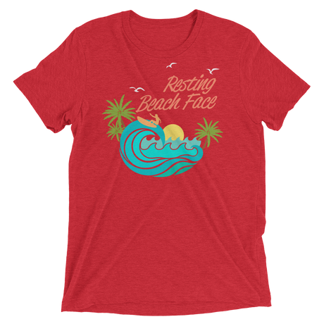 Resting Beach Face (Retail Triblend)-Triblend T-Shirt-Swish Embassy