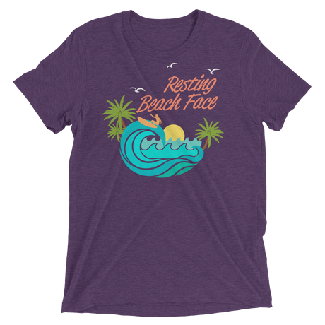 Resting Beach Face (Retail Triblend)-Triblend T-Shirt-Swish Embassy