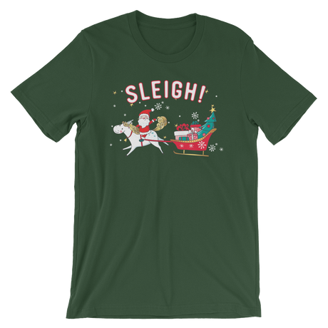 Sleigh-Christmas T-Shirts-Swish Embassy