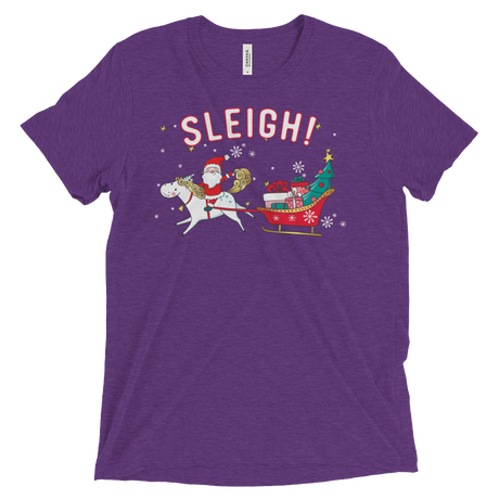 Sleigh! (Retail Triblend)-Triblend T-Shirt-Swish Embassy