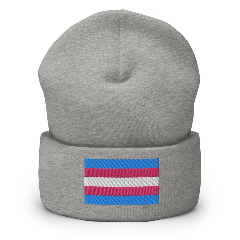 Trans Pride (Beanie)-Beanie-Swish Embassy