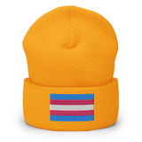 Trans Pride (Beanie)-Beanie-Swish Embassy