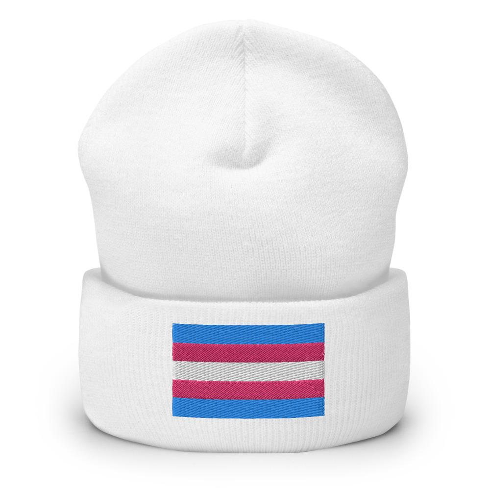 Trans Pride (Beanie)-Beanie-Swish Embassy