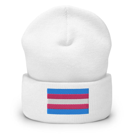 Trans Pride (Beanie)-Beanie-Swish Embassy