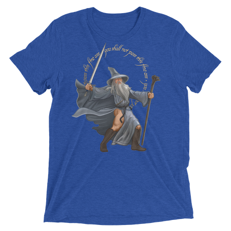 You Shall Not Pass This Fine Ass (Retail Triblend)-Triblend T-Shirt-Swish Embassy