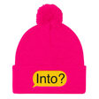 Into? (Beanie)-Beanie-Swish Embassy