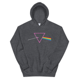 The Pride Prism (Hoodie)-Hoodie-Swish Embassy